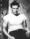 Marlon Brando, no filme "Um Bonde Chamado Desejo"